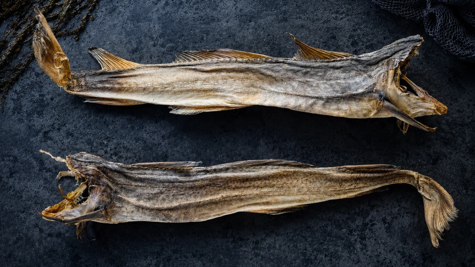 Two whole air-dried stockfish on dark slate with kelp